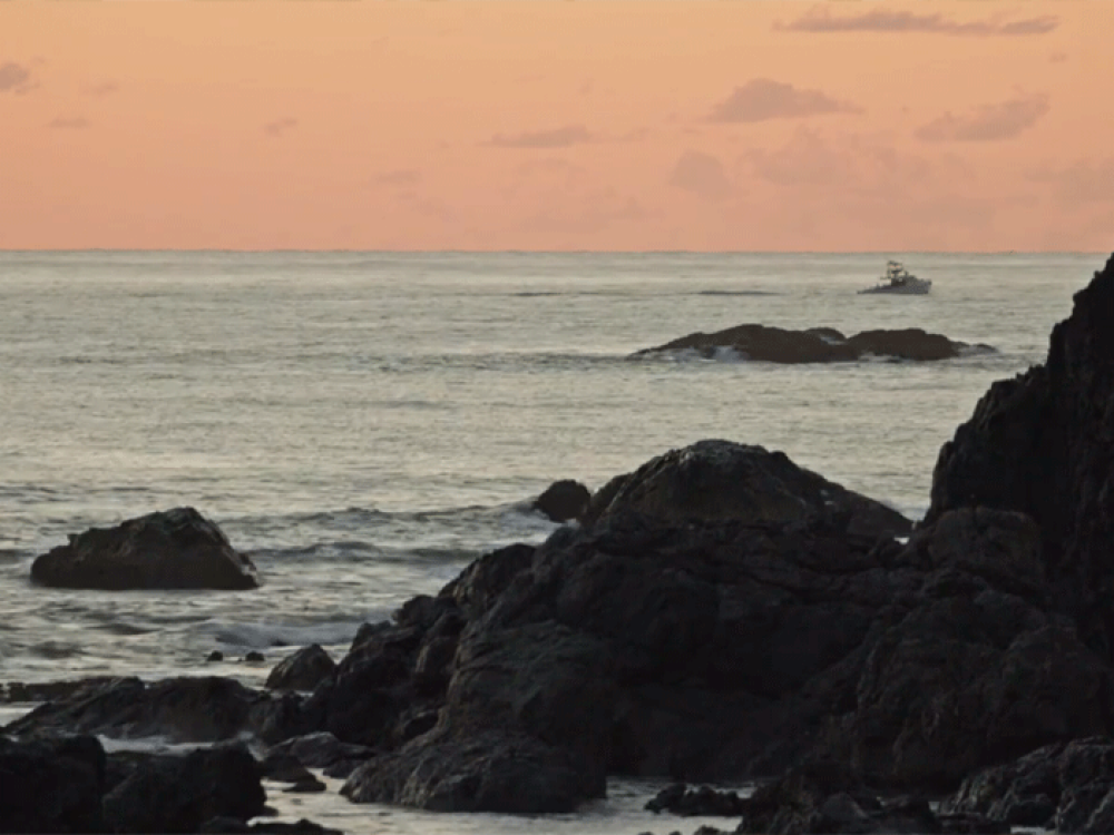 Jeep x Empty Esky x Broadsheet Port Macquarie Itinerary