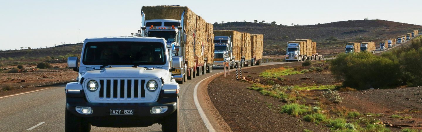 Farmers-Across-Borders